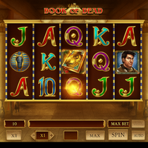 Rooli Casino - Book of Dead Slot Game